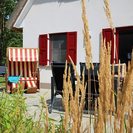 Strandburg Dom wakacyjny *